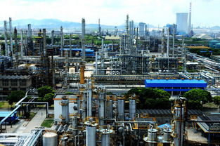 这些你没听过的鲁企，正用“一瓶一罐”改写“大而不强”的标签